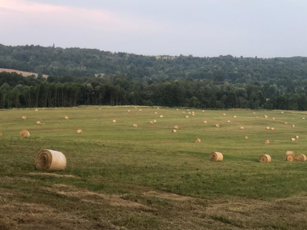 Bale — radovi na terenu